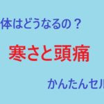 寒さと頭痛